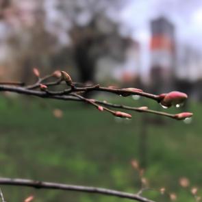 ����: 