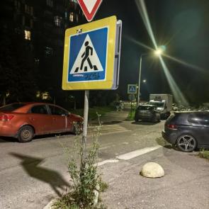 ����: ������� ������