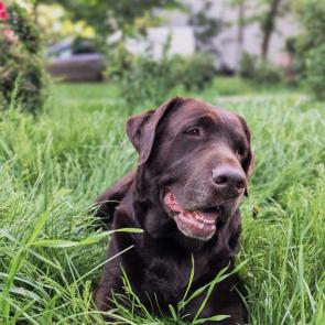����: 