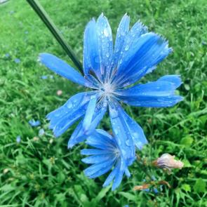����: ����� �������