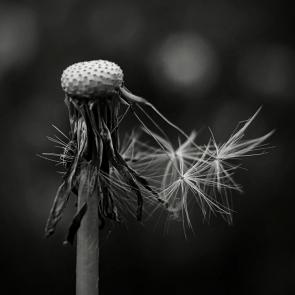 ����: ��������� ��������� ����