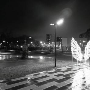 ����: ������ �����