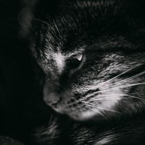 ����: 