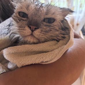 ����: 