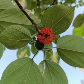 ����: �������� ������ 