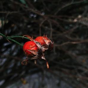 ����: �������� � ����� ������ ����