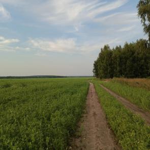 ����: 