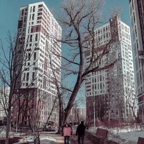 ����: ��� ���� ��� ���