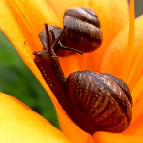 ���� ��������: ��� ������ ������