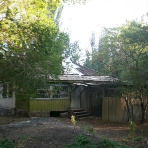 ����: ����������� ���
