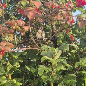 ����: ������ 