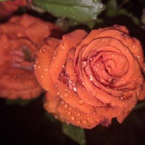 ����: ���� ���� 