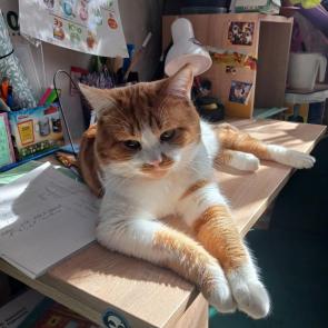 ����: ��� ������ 