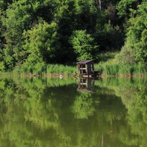 ���� ��������: 