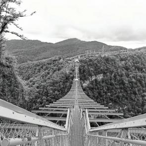 ����: ����