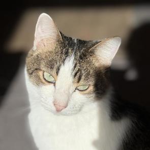 ����: 