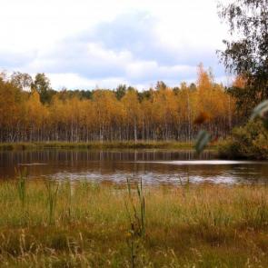 ���� ��������: 