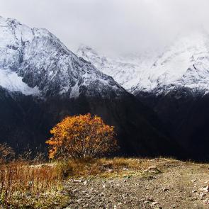 ����: ������ 