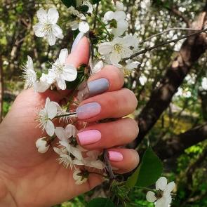 ����: 