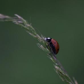 ����: ���������� � ������