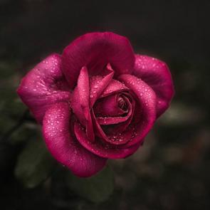 ����: 