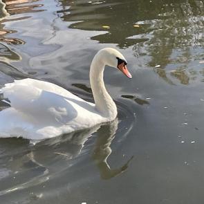 ����: � ����� ������ �� ����� 