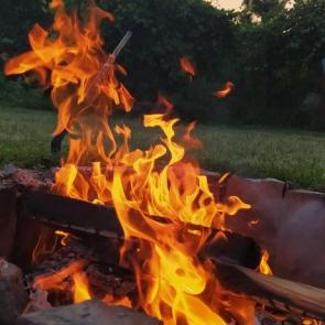 ����: 