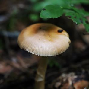 ����: �� ��������� ����
