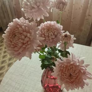 ����: ������