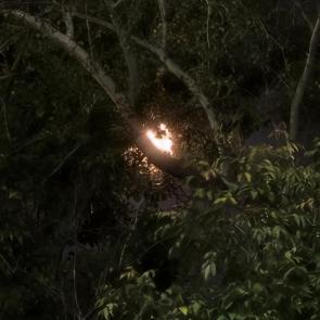 ����: ����, ����