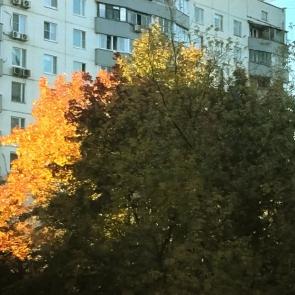 ����: ����� ������ � ������
