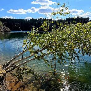 ���� ��������: 