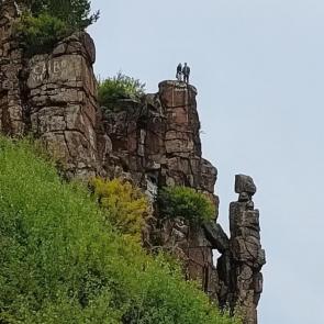 ����: �����������