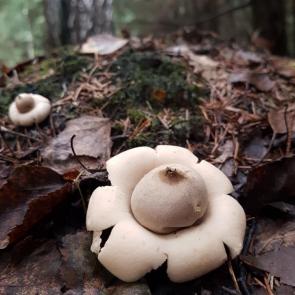 ����: ���� ����