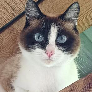 ����: � �������� 