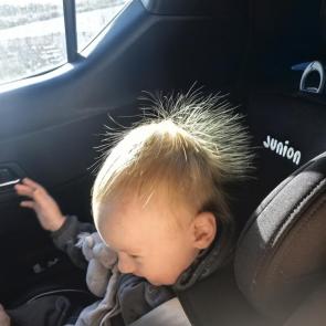����: ��������