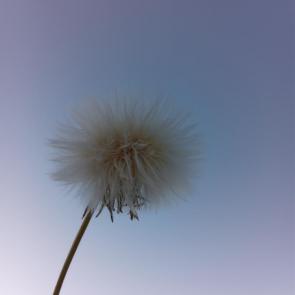 ����: 