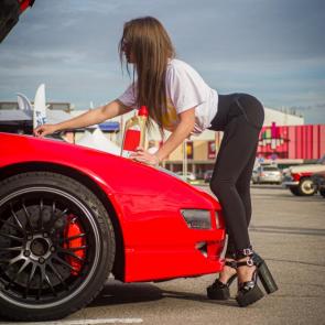 ����: ��������
