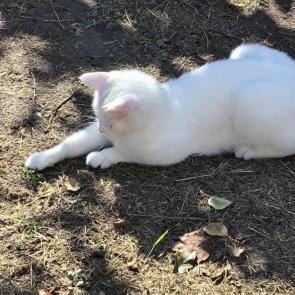����: ���� � �����