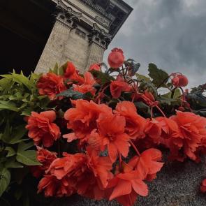 ����: ������ ������