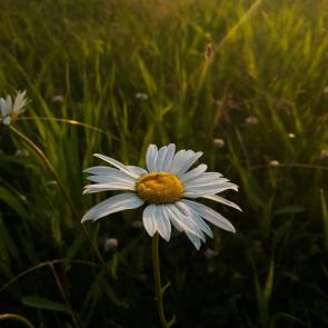 ����: � ����� �������
