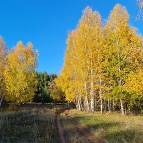 ����: 