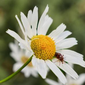 ����: �������� �� ������