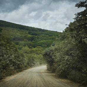����: 