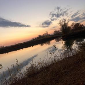 ����: �� ������