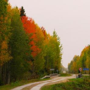 ����: ������ ������