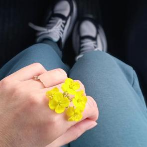 ����: 
