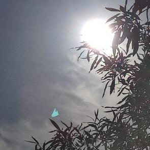 ����: 