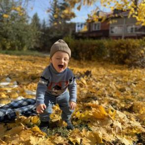 ���������� ������