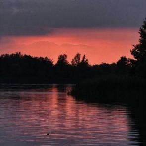 ���� ��������: 
